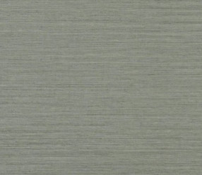 Обои Designers Guild Chinon PDG1120\03