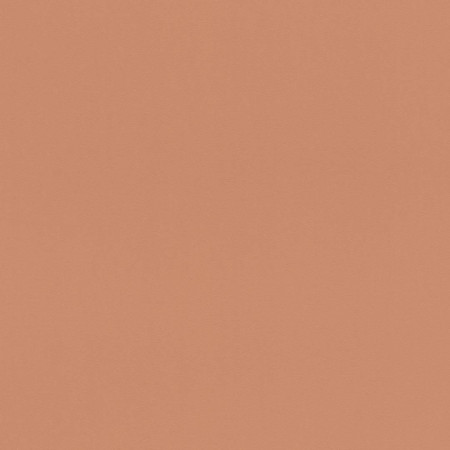 Обои Rasch Salsa 807608