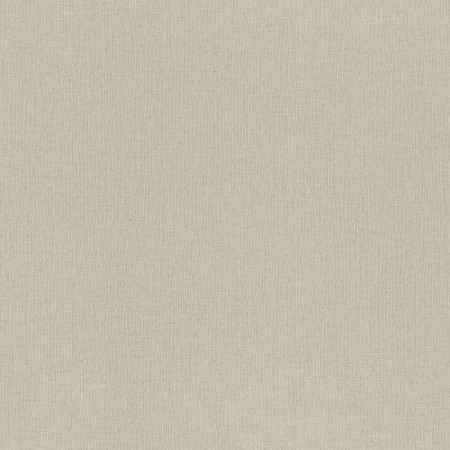 Обои Rasch Trend 975505