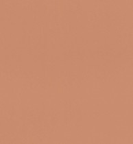 Обои Rasch Salsa 807608